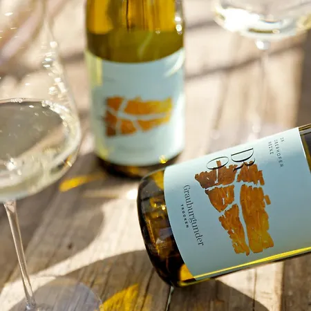 Gaestezimmer Weingut Dr Oberhofer Kirrweiler (Sudliche Weinstrasse)